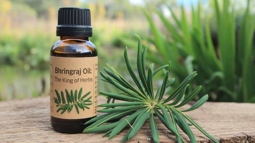 Bhringraj Oil in India
